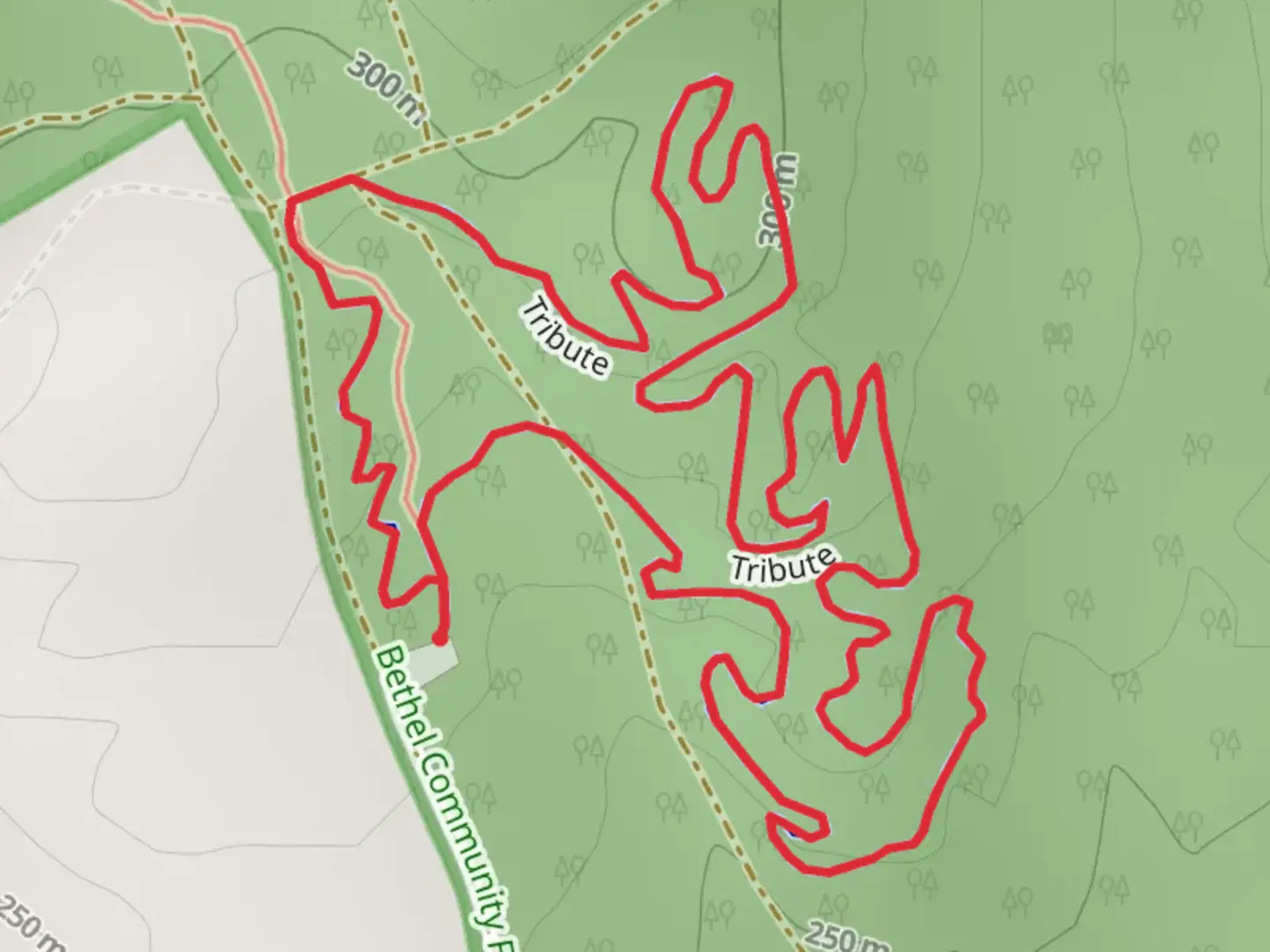 An image depicting the trail Tribute via Locke Mountain Road and its surrounding area.