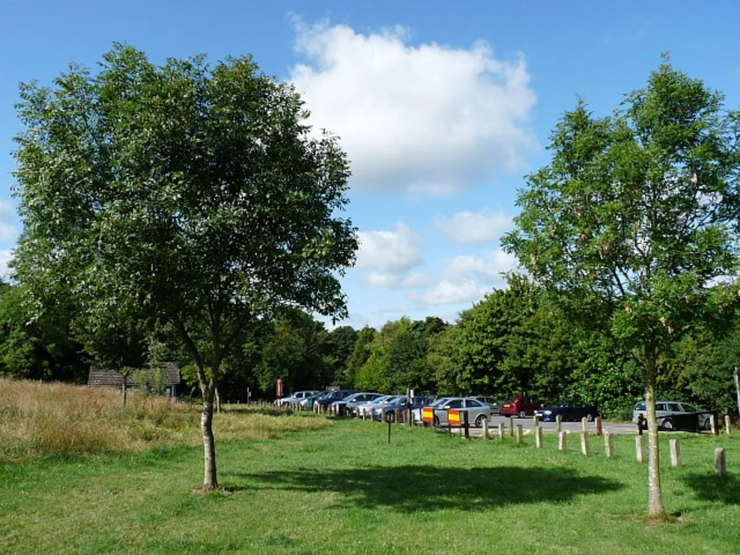 An image depicting the trail Selsdon Wood and Farleigh Golf Club Loop Walk and its surrounding area.
