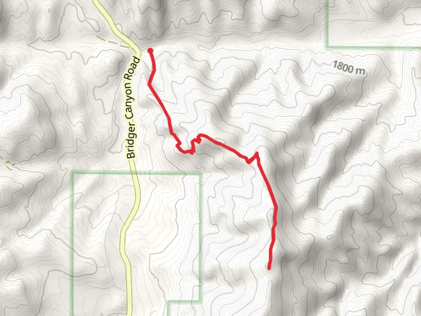 An image depicting the trail Bangtail Divide Trail - Short and its surrounding area.