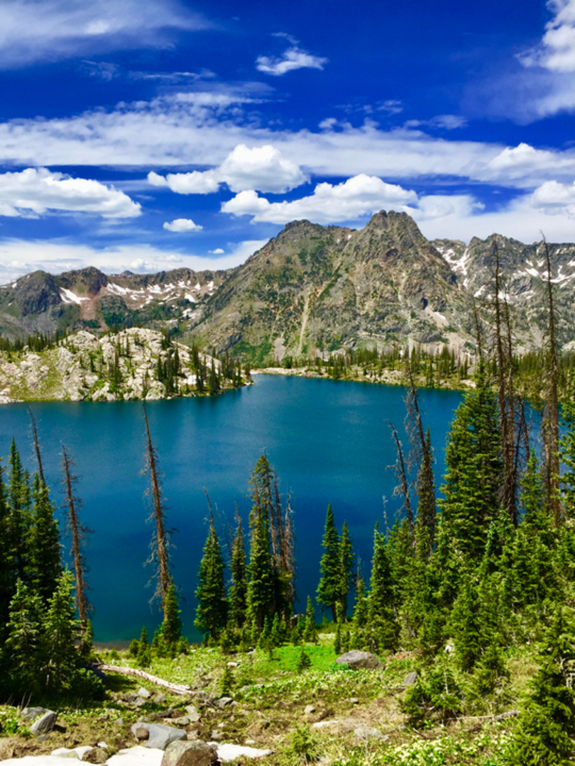 An image depicting the trail Gilpin Trail and its surrounding area.