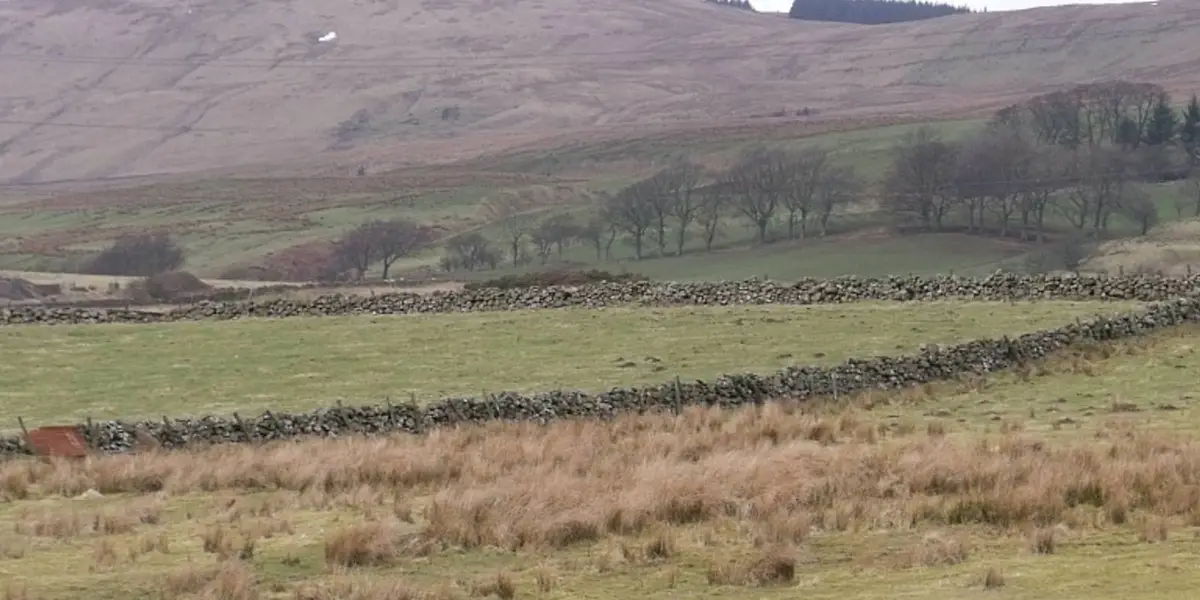 Tomtain near Kilsyth