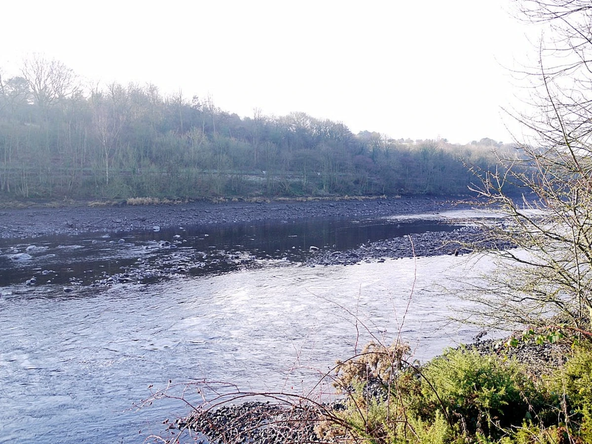 Tyne Riverside Country Park Ryton Island Loop
