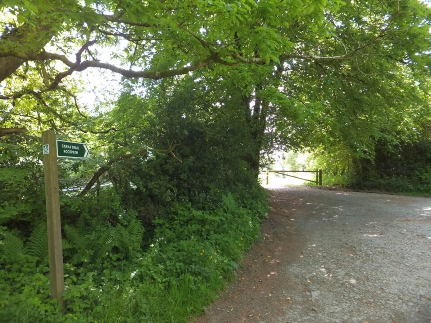 An image depicting the trail Arthingworth to Braybrooke Loop and its surrounding area.