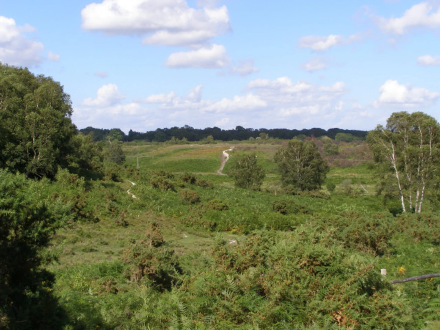 An image depicting the trail St Martin's Loop and its surrounding area.
