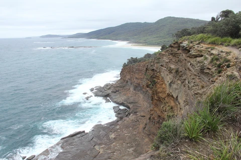 Pretty Beach to Snapper Point Track