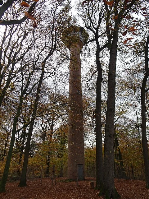 An image depicting the trail Die Haard Waldpromenade and Mutter Wehner Rundweg A4 Loop and its surrounding area.