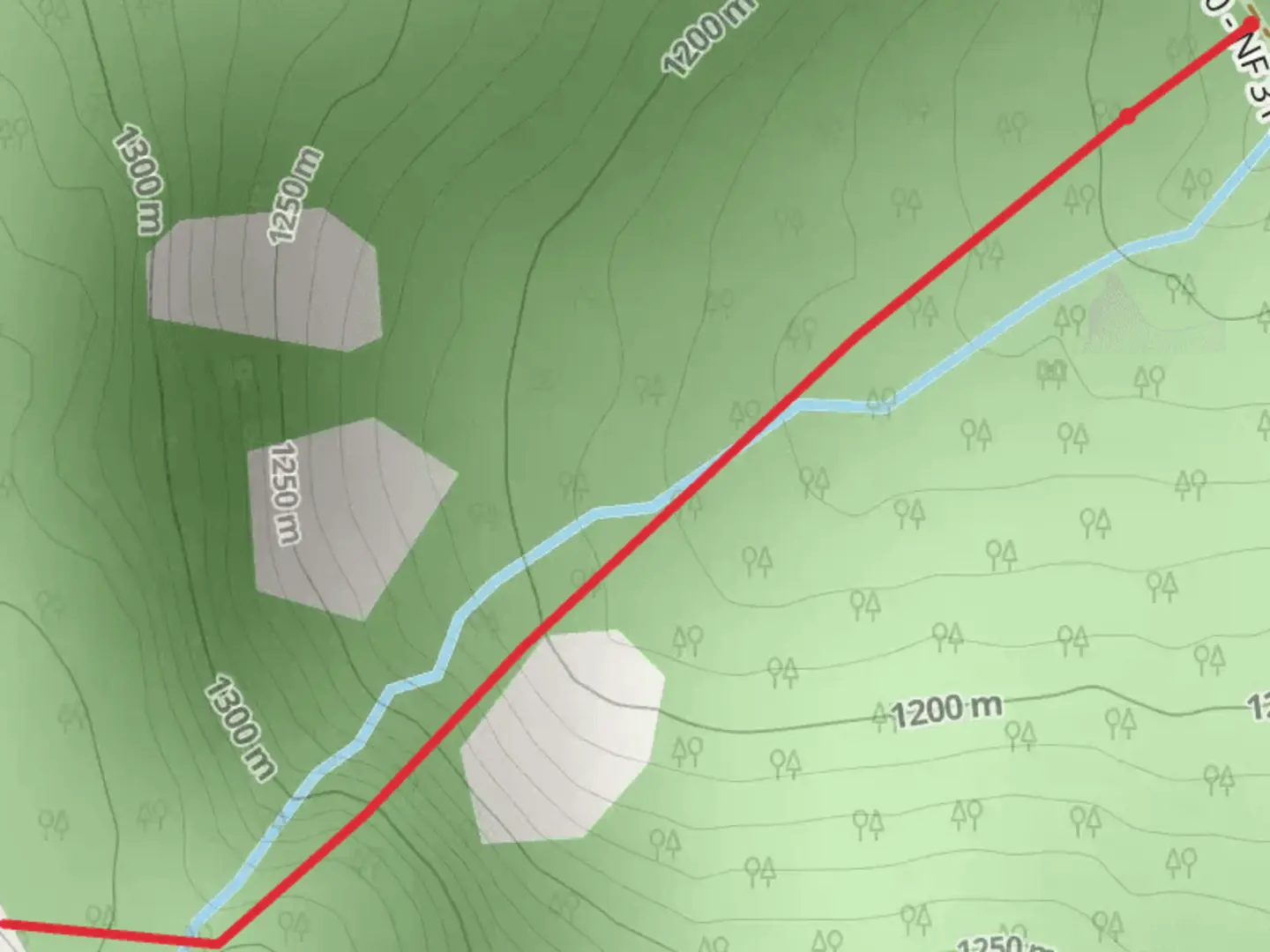 An image depicting the trail Bearpaw Lake Trail and its surrounding area.