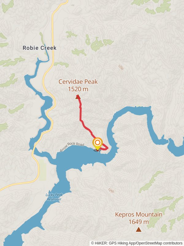 Cervidae Peak Out and Back