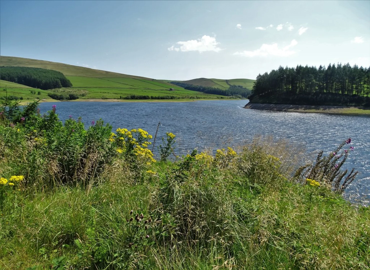 An image depicting the trail Lamaload Reservoir Loop and its surrounding area.