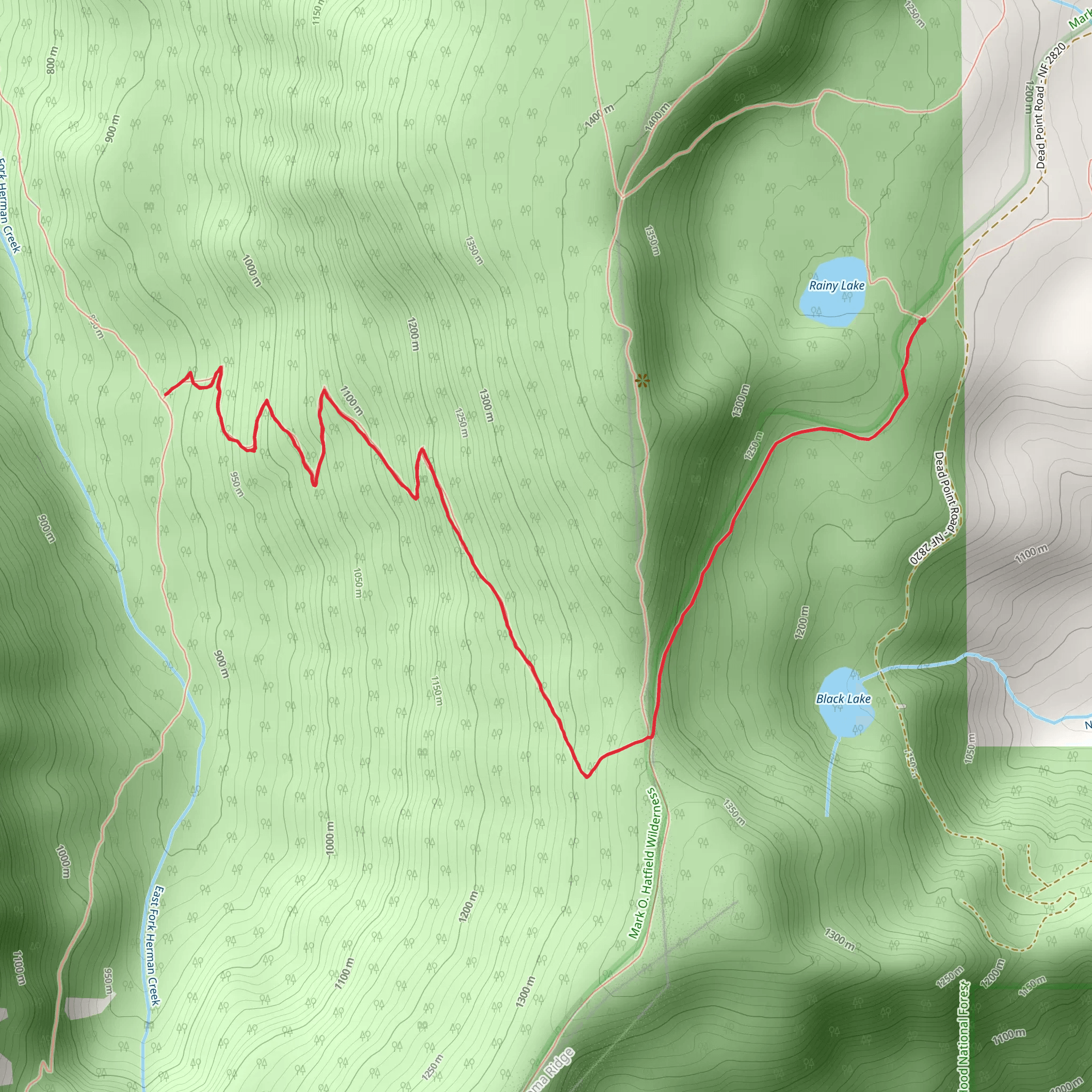 Herman Cutoff Trail via Rainy Wahtum Trail mobile static map