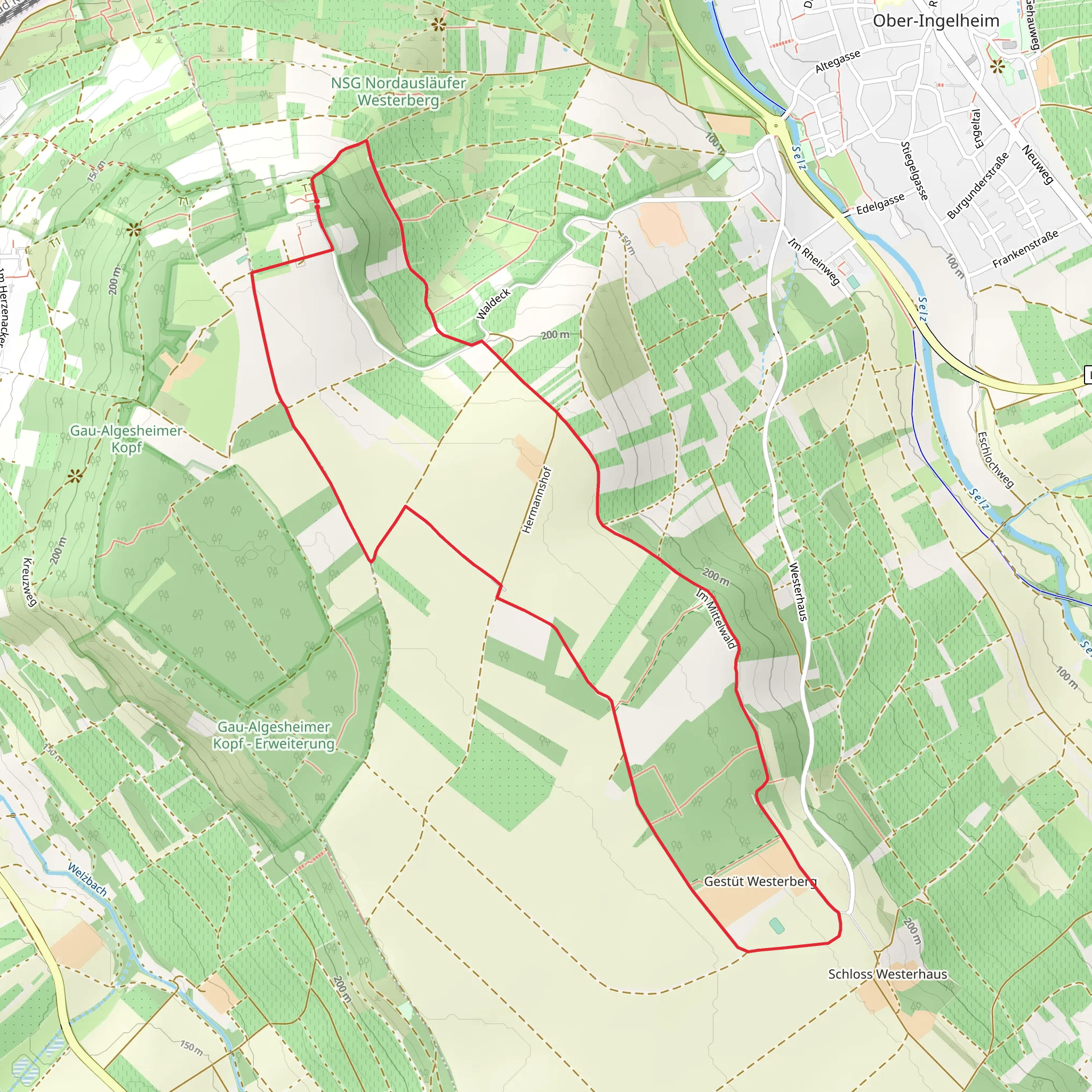 Ingelheim Rundweg Westerberg mobile static map