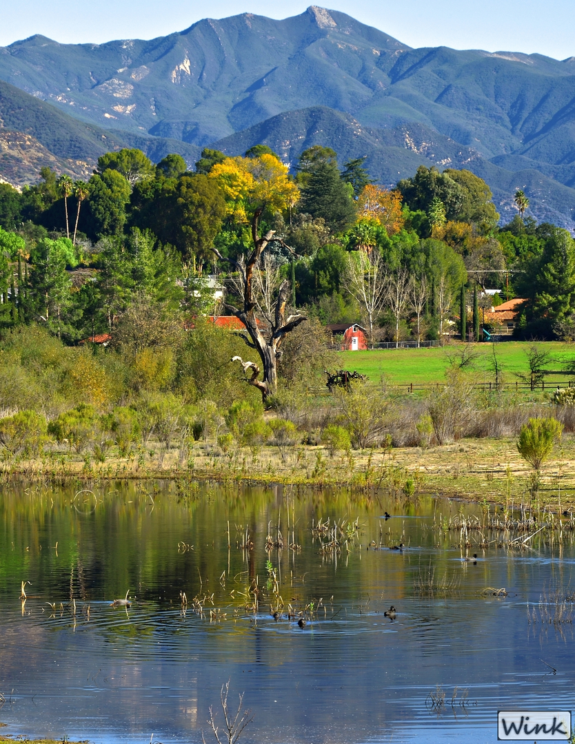 An image depicting the trail Fox Canyon and Luci's Loop Trail and its surrounding area.