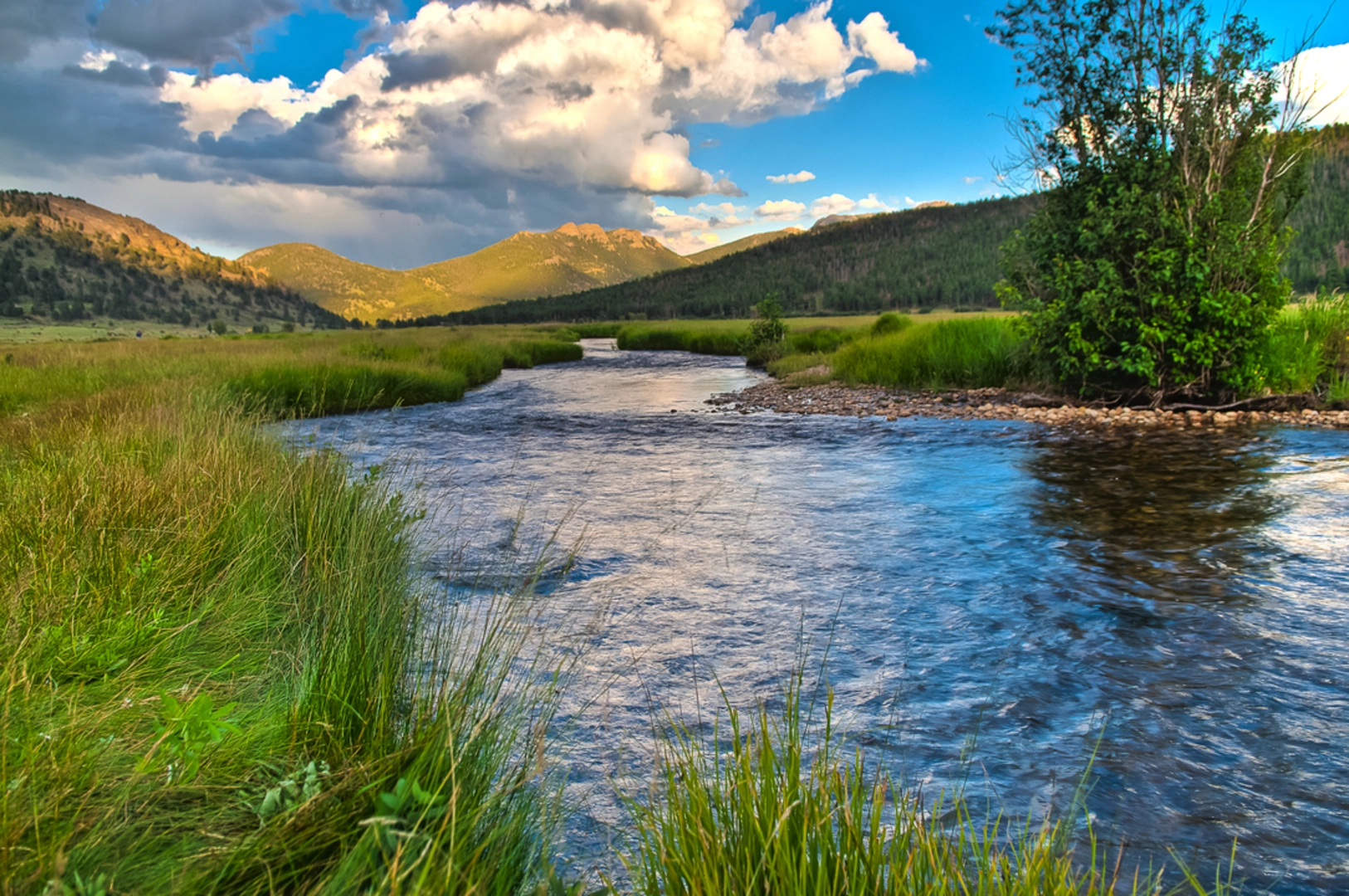 An image depicting the trail Cub Lake Trail and its surrounding area.