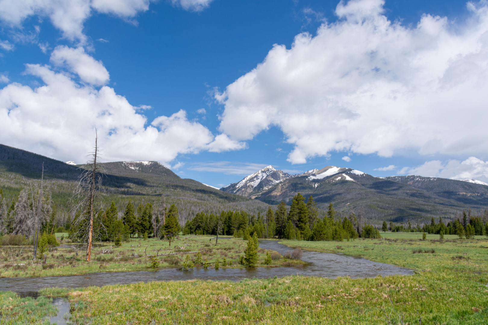 An image depicting the trail Skeleton Gulch via Grand Ditch Trail and its surrounding area.