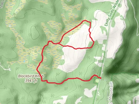 Blackbird Knob and Dobbin Grade Loop Trail