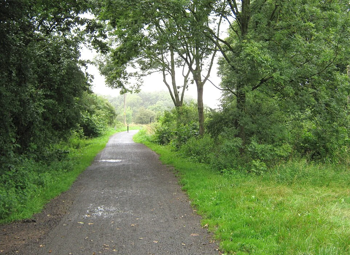An image depicting the trail Cuerden Valley Country Park Loop and its surrounding area.