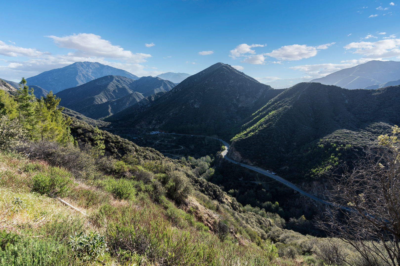 An image depicting the trail East Fork San Gabriel River and its surrounding area.