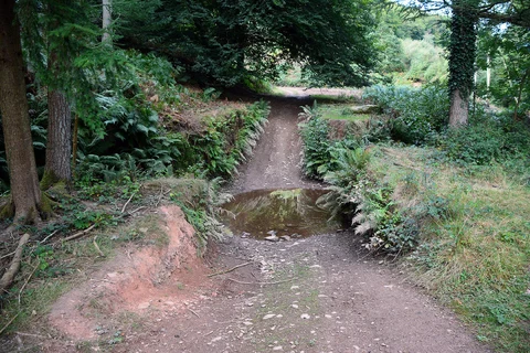 An image depicting the trail Combe Sydenham Country Park and its surrounding area.