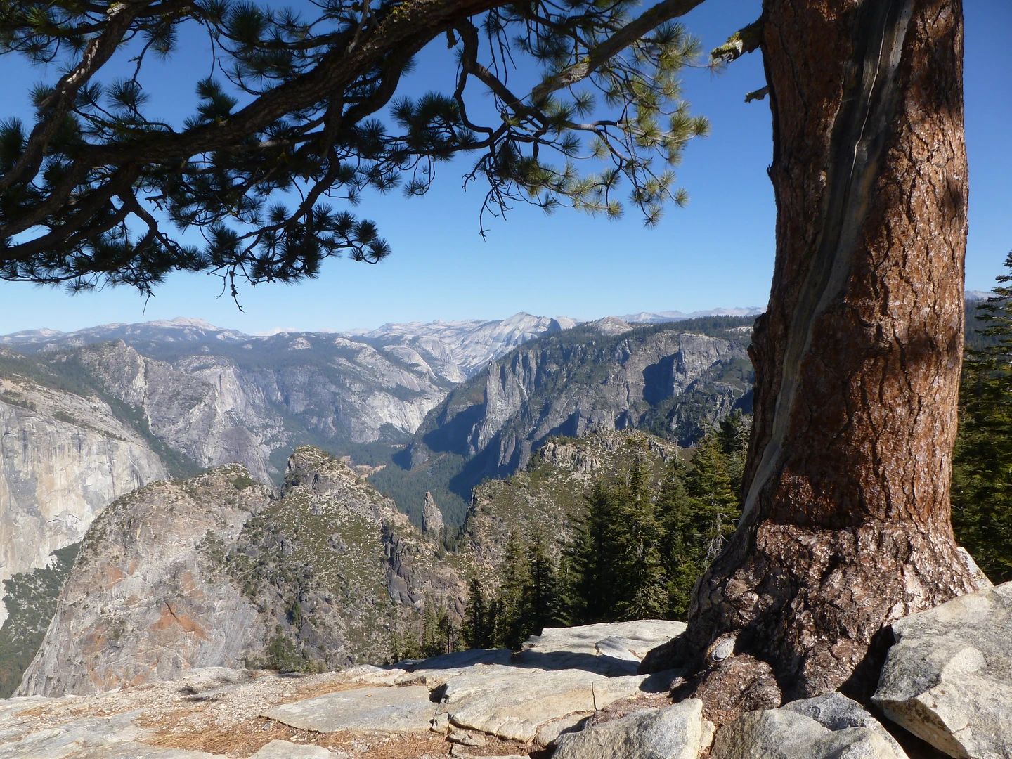 An image depicting the trail Dewey Point Meadow Trail and its surrounding area.