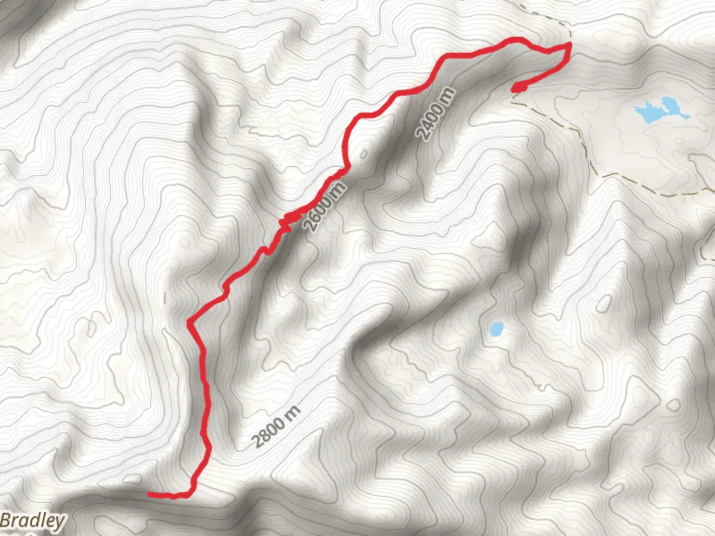 An image depicting the trail Blaine Mountain Road and its surrounding area.