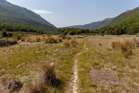 Cobb Valley - Trilobite Hut to Chaffey Hut