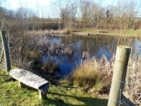 An image depicting the trail Parc Penallta Loop and its surrounding area.