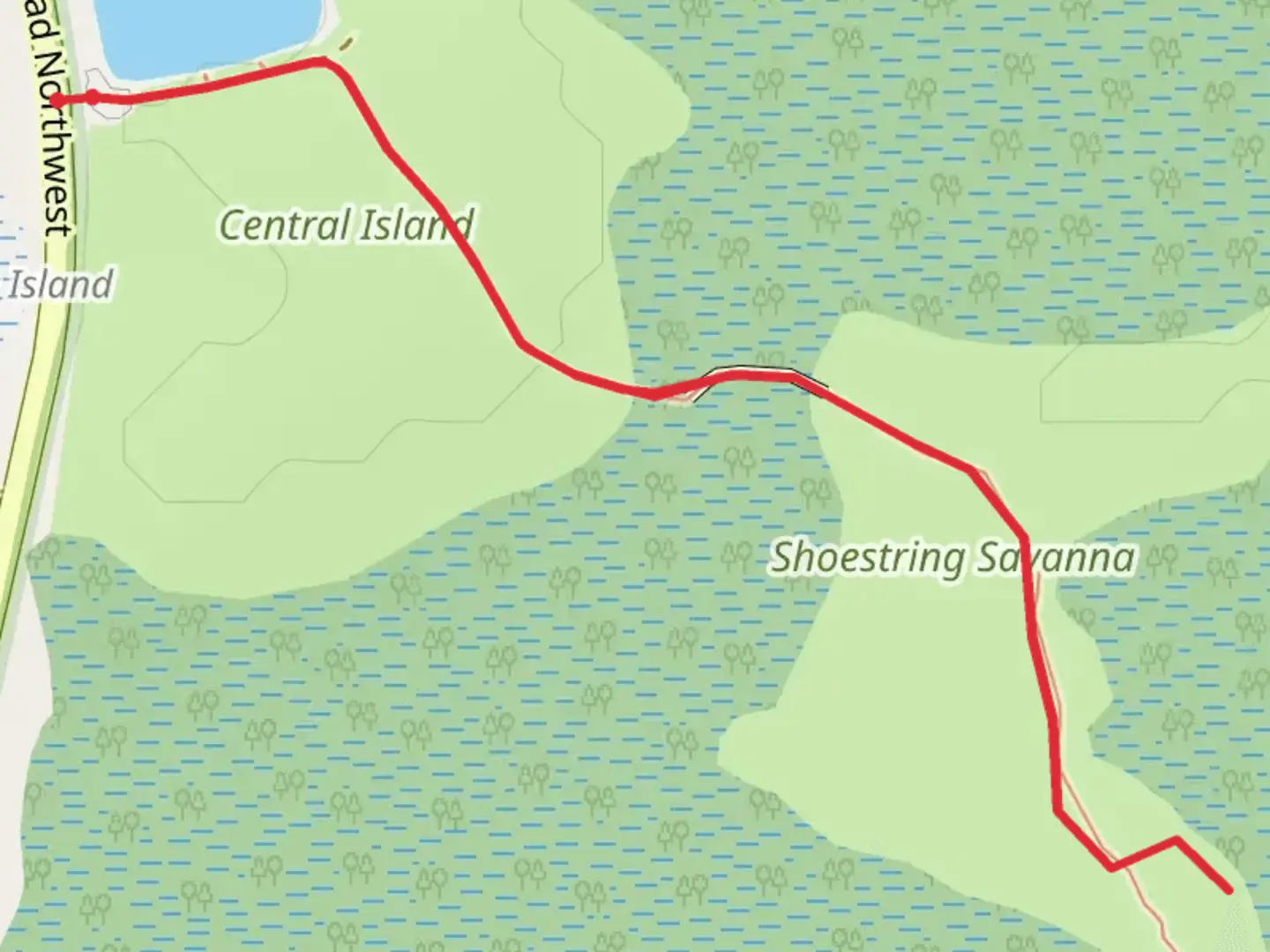 An image depicting the trail Green Swamp Preserve Trail and its surrounding area.