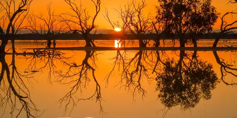 An image depicting the trail River Trail and its surrounding area.