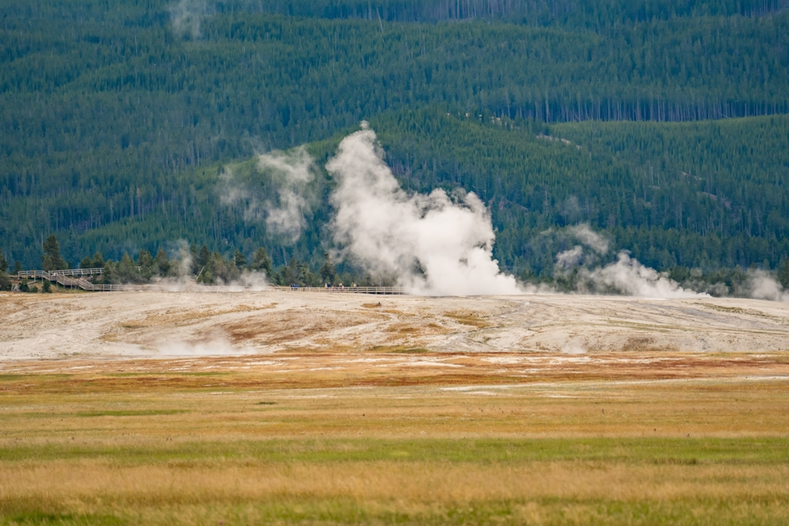 An image depicting the trail Fountain Paint Pot Trail and its surrounding area.