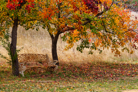Blowhole to Shepherds Flat Trail