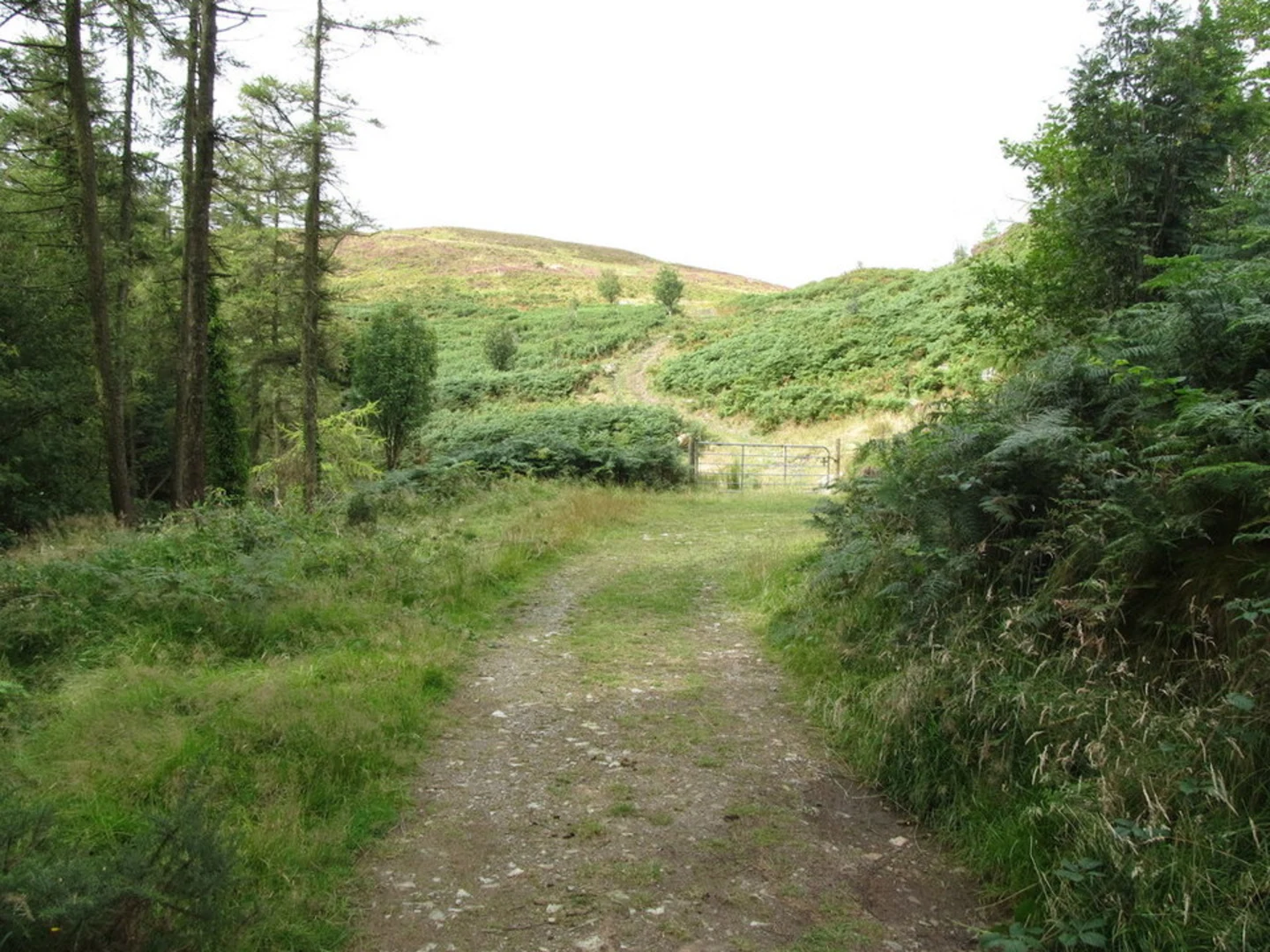An image depicting the trail Knockchree Hill Walk and its surrounding area.