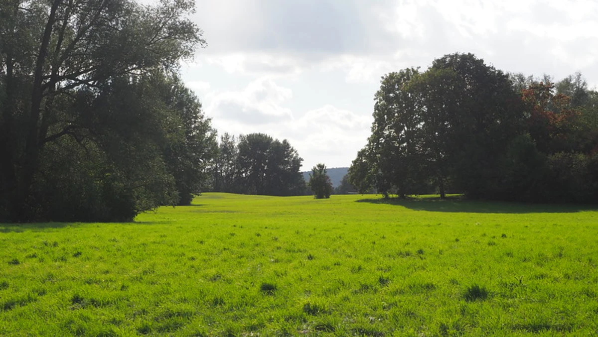 Salzgitter-See via Karl-Nestvogel-Weg