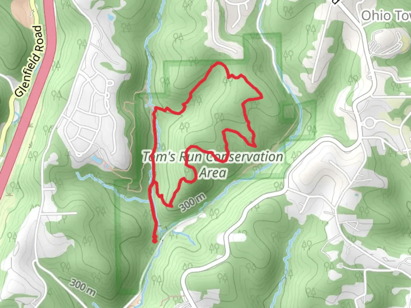 An image depicting the trail White Blaze Loop Trail - Tom's Run Conservation Area and its surrounding area.