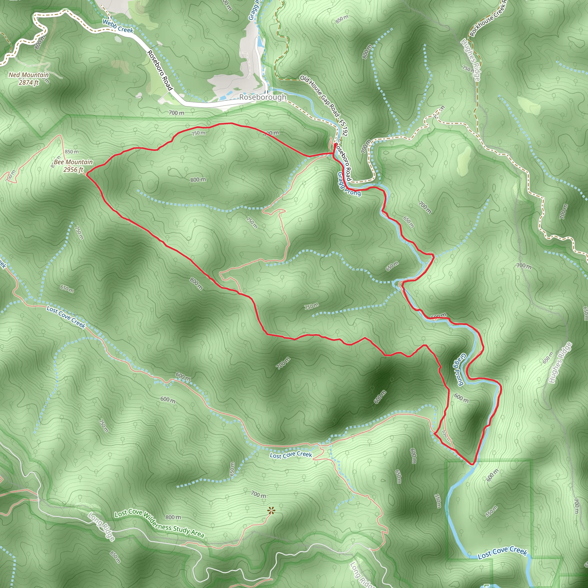 Timber Ridge Loop Trail mobile static map
