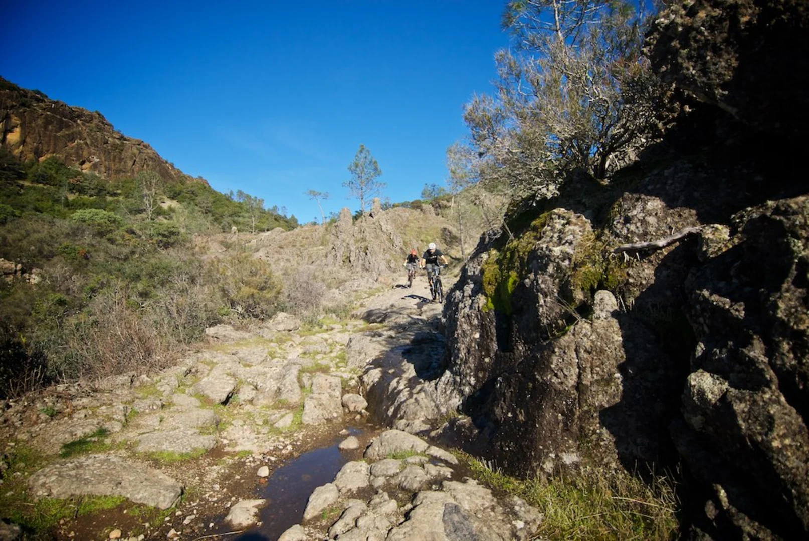 An image depicting the trail Oat Hill Mine Trail - Lake County Highway and its surrounding area.
