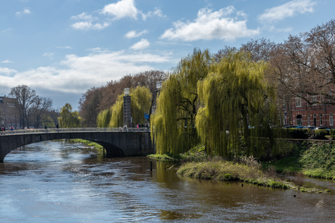 Esschebaan, Heult and Schijndelseweg Loop