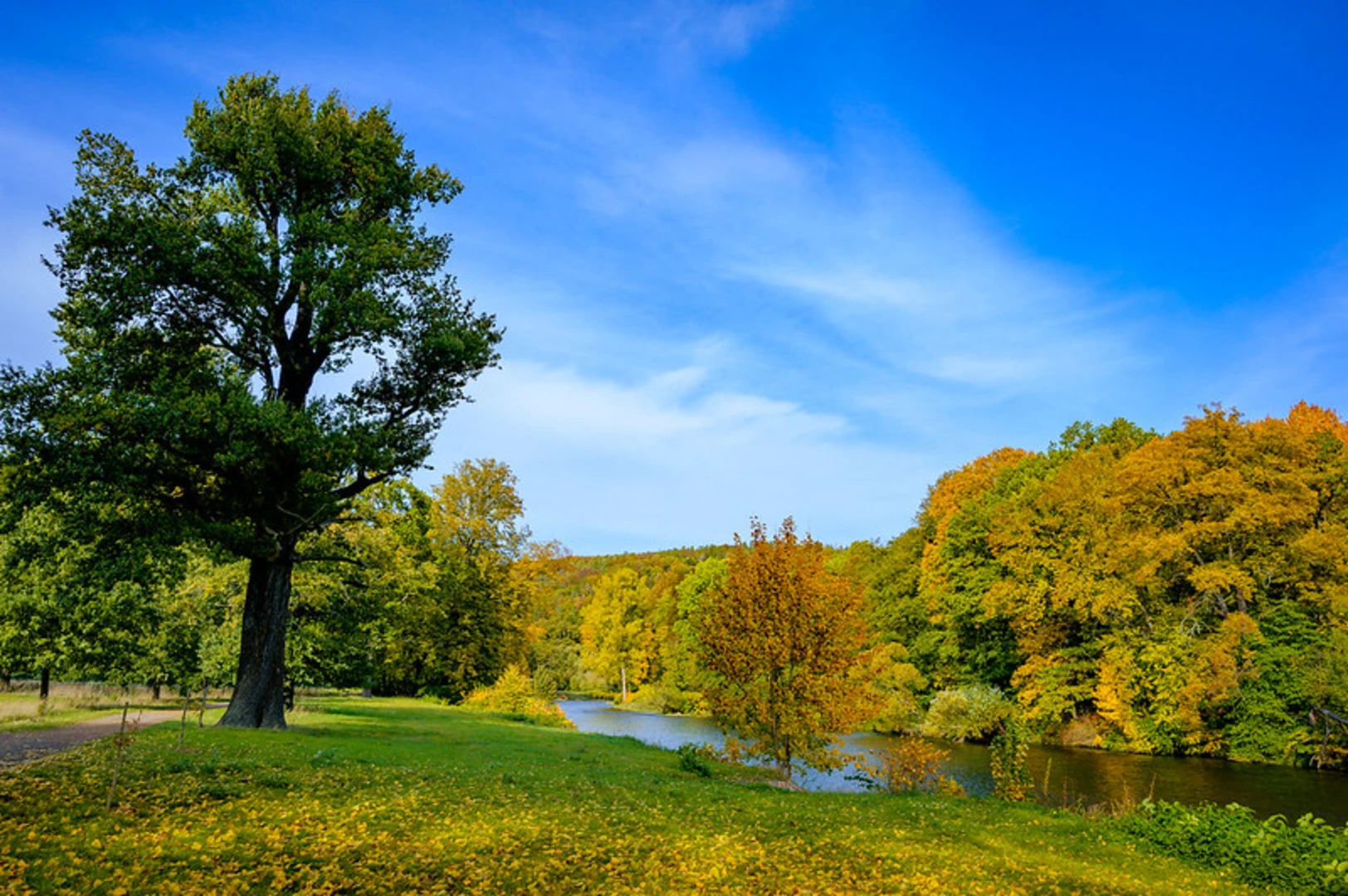 An image depicting the trail Zwickauer Mulde via Muldental Wanderweg and its surrounding area.