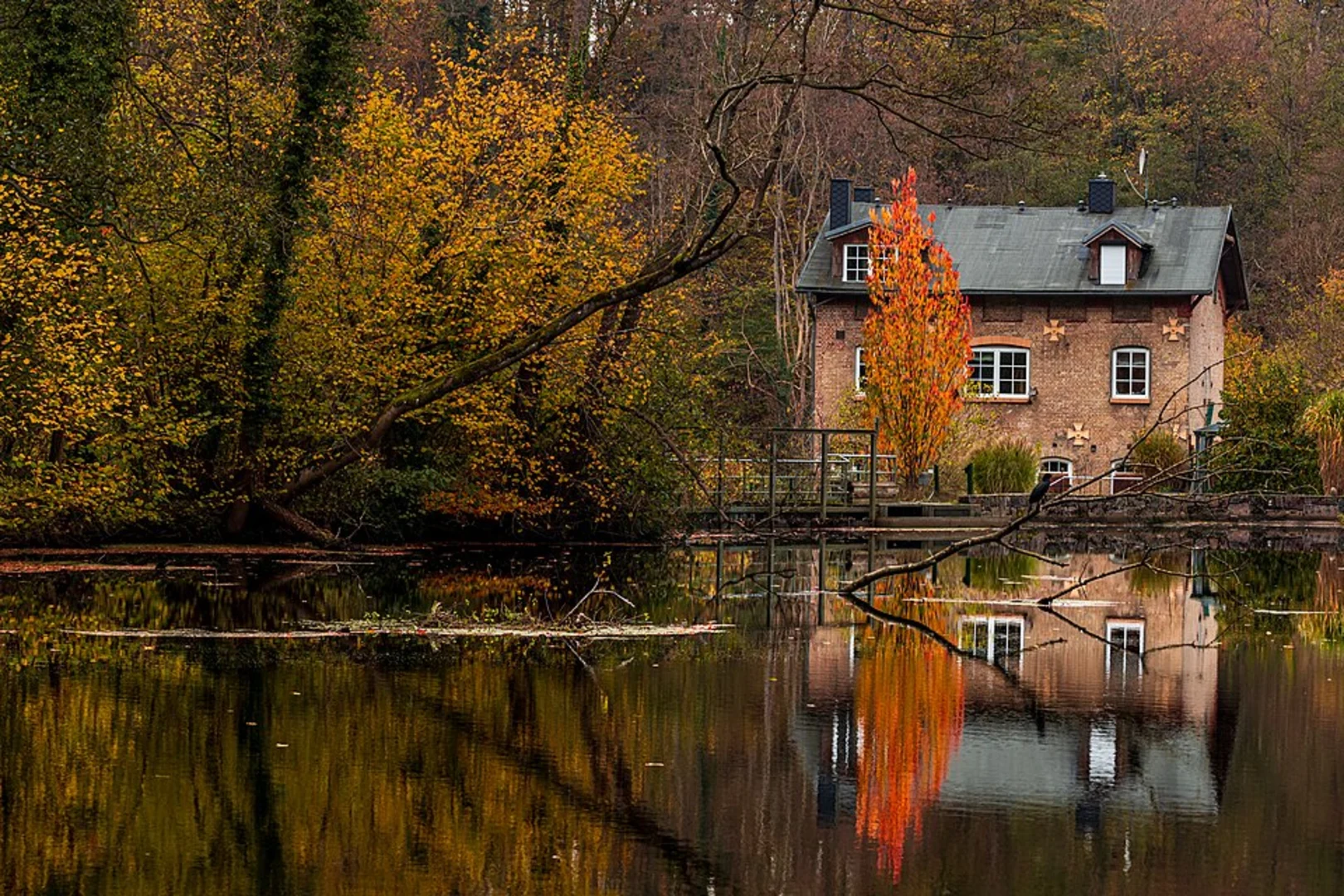 An image depicting the trail Schwentinepark and Rosensee Loop and its surrounding area.