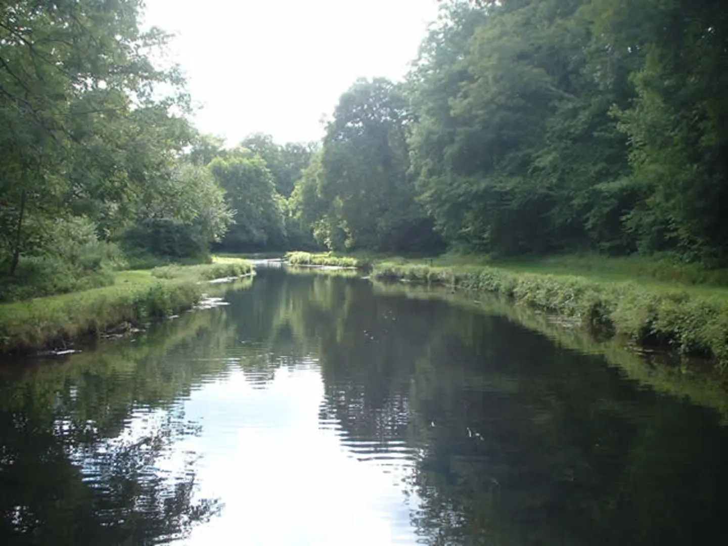 An image depicting the trail Spearywell, Mottisfont and Oakley Loop and its surrounding area.