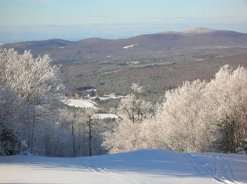 An image depicting the trail Widow's Clearing Trail and its surrounding area.