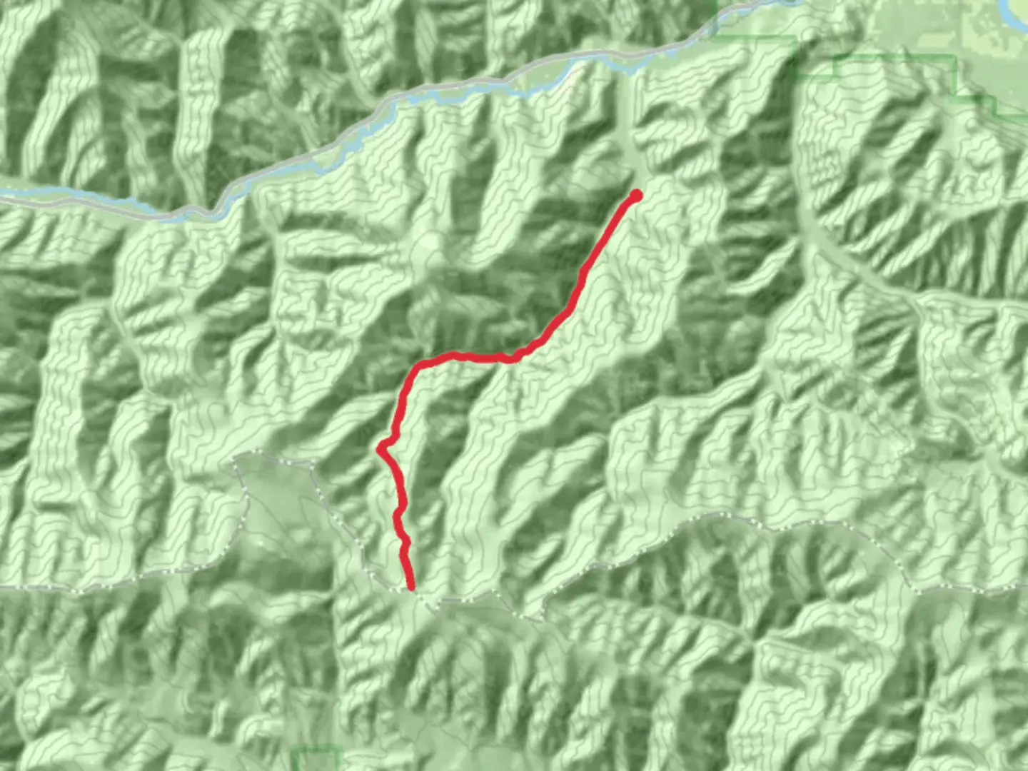 An image depicting the trail Wilkes Creek Trail and its surrounding area.