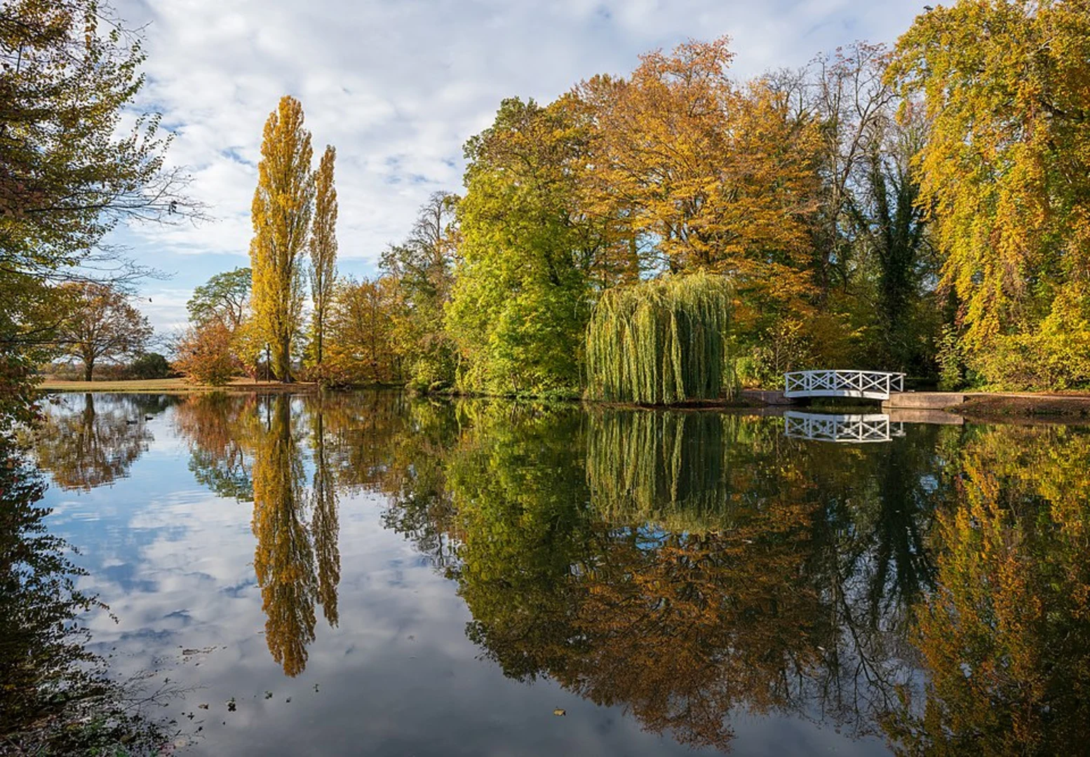 An image depicting the trail Schlossgarten Schwetzingen and Brühl Loop via Riedweg and its surrounding area.