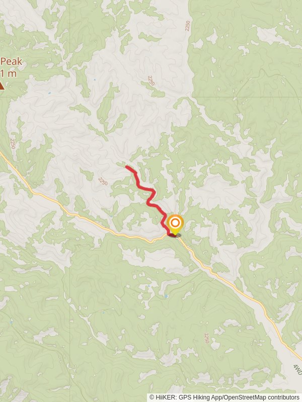 Anasazi - T-Rex Track Trail