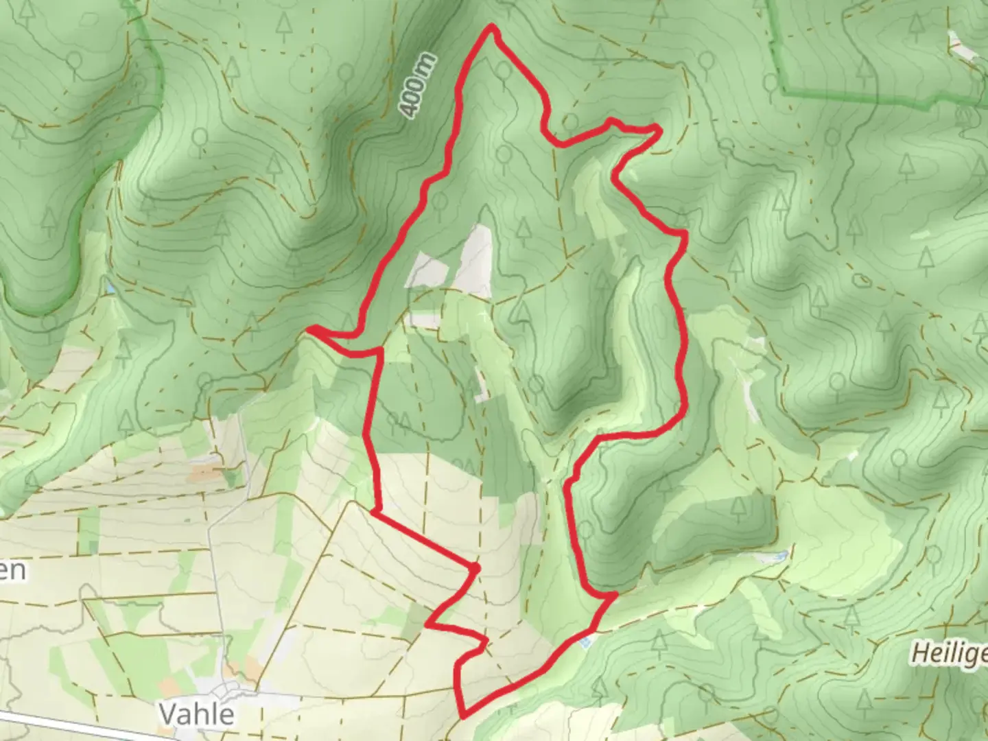 An image depicting the trail Hohe Warte Loop and its surrounding area.