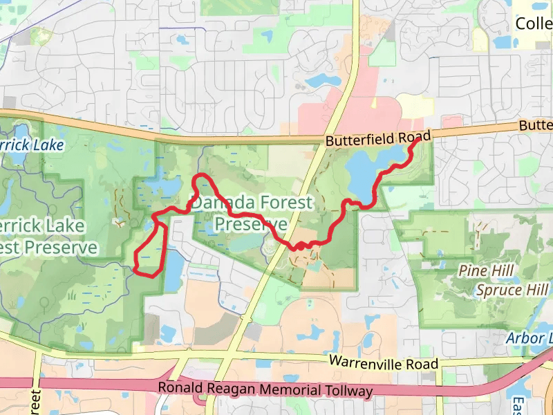 Bluebird, Danada-Herrick Lake Regional and Rice Lake Trail