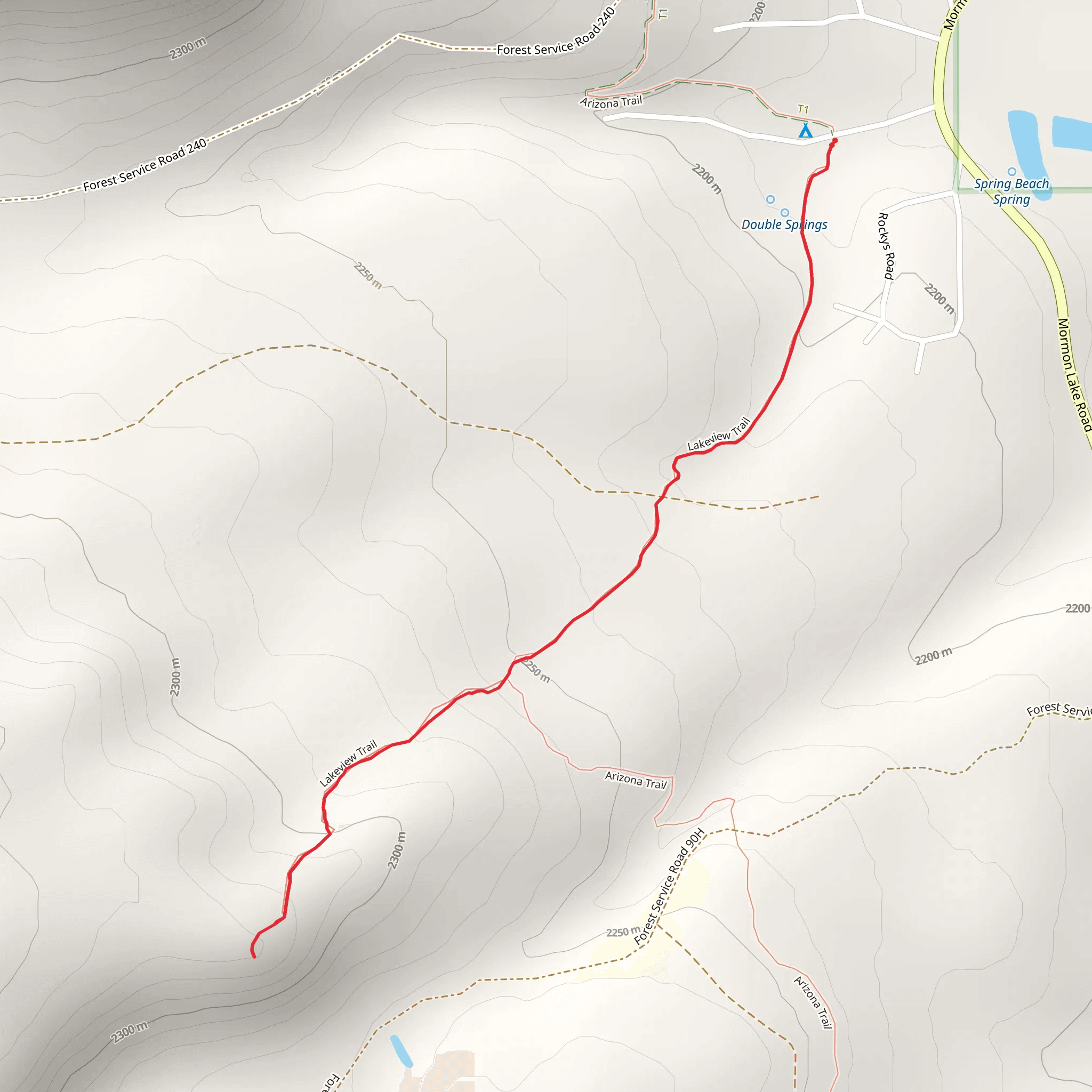 Lakeview Trail mobile static map
