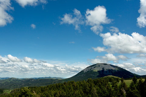 An image depicting the trail Middle Cottonwood Trail and its surrounding area.