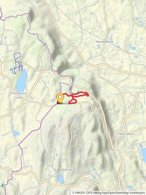 Blue Loop and Yellow Loop via Long Path