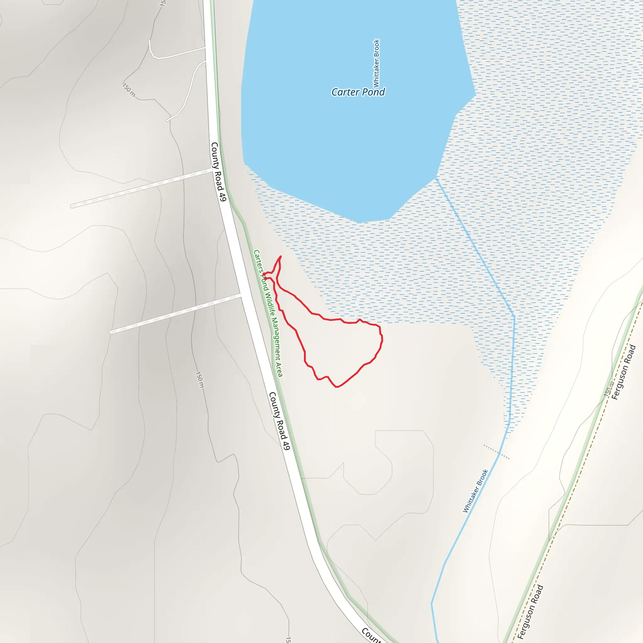 County Road 49 Loop mobile static map