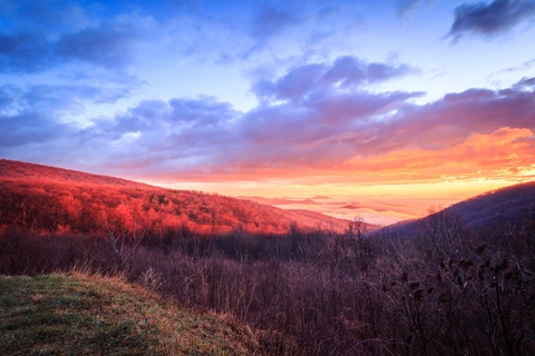 An image depicting the trail Jenkins Gap Trail and its surrounding area.